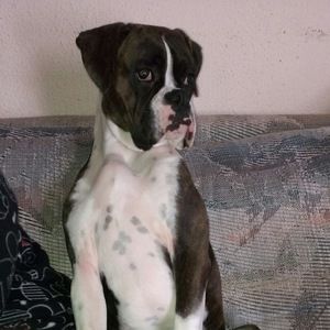 Meet your Posher, Wade